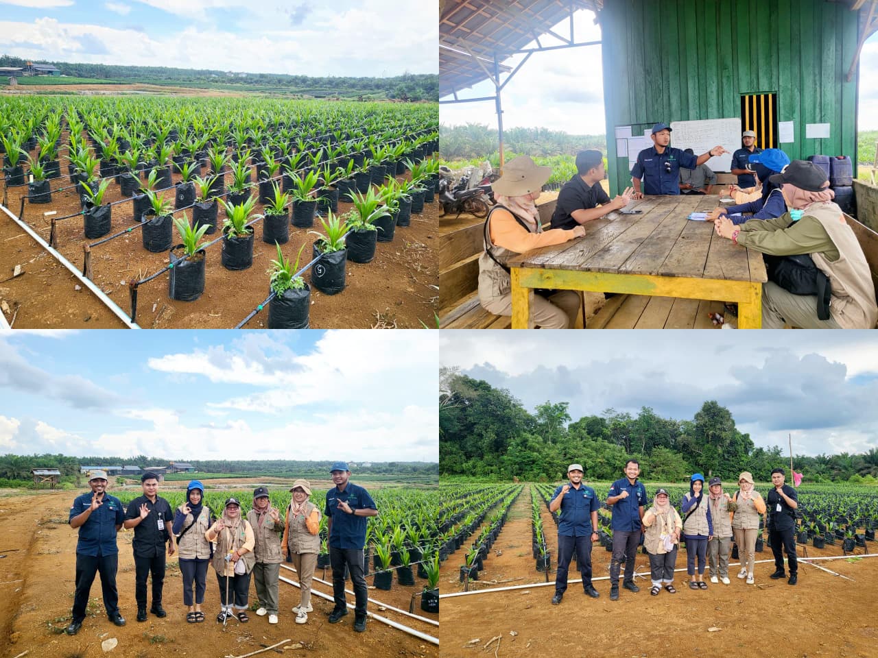 DPMPTSP Prov. Kalteng Lakukan Verifikasi Lapangan Usaha Produksi Benih di Kotawaringin Timur dan Kotawaringin Barat